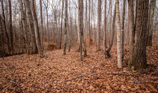 Photo #5 of SOLD property in Off Mount Harmony Church Road, Timberlake, NC 4.8 acres