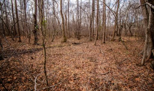 Photo #6 of SOLD property in Off Mount Harmony Church Road, Timberlake, NC 4.8 acres