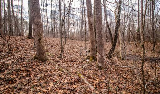 Photo #7 of SOLD property in Off Mount Harmony Church Road, Timberlake, NC 4.8 acres