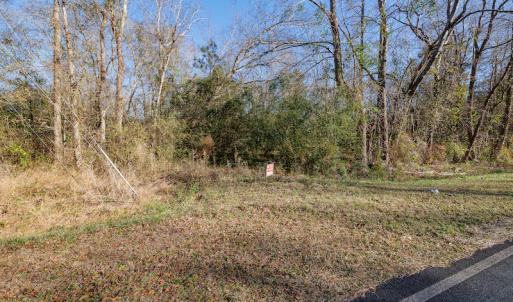 Photo #10 of SOLD property in Off Fifth Street, Bladenboro, NC 1.6 acres