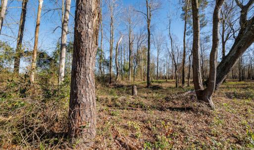 Photo #11 of SOLD property in Off Fifth Street, Bladenboro, NC 1.6 acres