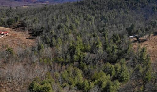 Photo #6 of SOLD property in 3340 Virgil Goode Highway, Rocky Mount, VA 17.3 acres