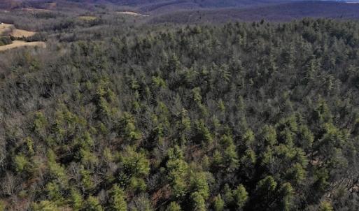 Photo #7 of SOLD property in 3340 Virgil Goode Highway, Rocky Mount, VA 17.3 acres