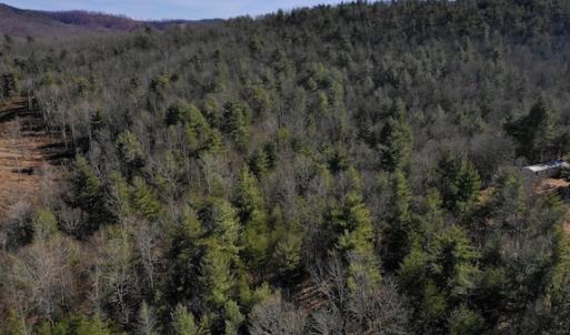 Photo #9 of SOLD property in 3340 Virgil Goode Highway, Rocky Mount, VA 17.3 acres