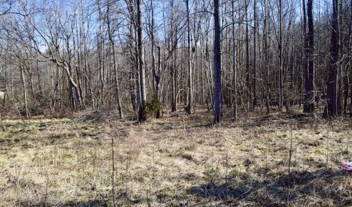 Photo #12 of SOLD property in 3340 Virgil Goode Highway, Rocky Mount, VA 17.3 acres
