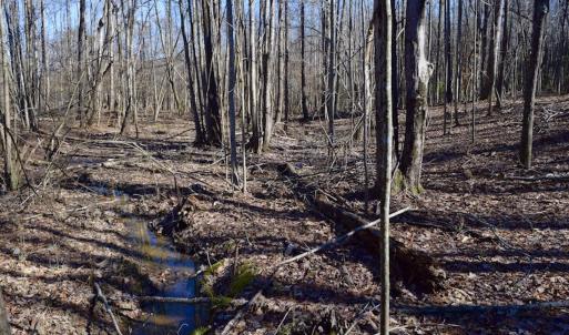 Photo #14 of SOLD property in 3340 Virgil Goode Highway, Rocky Mount, VA 17.3 acres