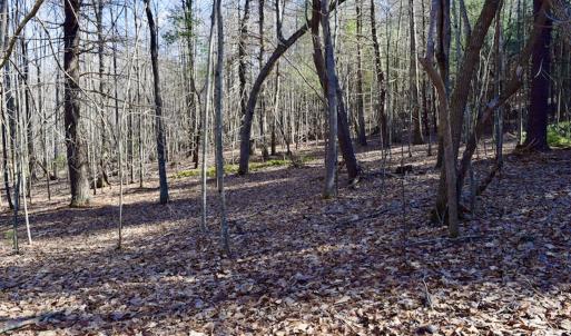 Photo #15 of SOLD property in 3340 Virgil Goode Highway, Rocky Mount, VA 17.3 acres