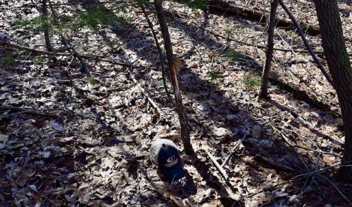 Photo #16 of SOLD property in 3340 Virgil Goode Highway, Rocky Mount, VA 17.3 acres