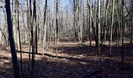 Photo #17 of SOLD property in 3340 Virgil Goode Highway, Rocky Mount, VA 17.3 acres