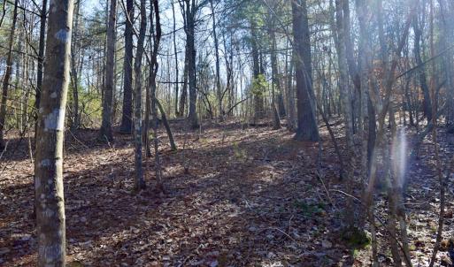 Photo #18 of SOLD property in 3340 Virgil Goode Highway, Rocky Mount, VA 17.3 acres