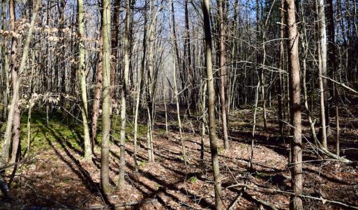 Photo #19 of SOLD property in 3340 Virgil Goode Highway, Rocky Mount, VA 17.3 acres