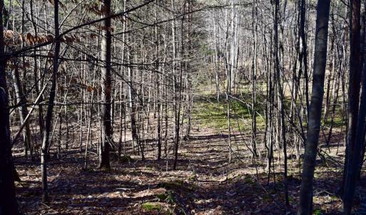 Photo #20 of SOLD property in 3340 Virgil Goode Highway, Rocky Mount, VA 17.3 acres