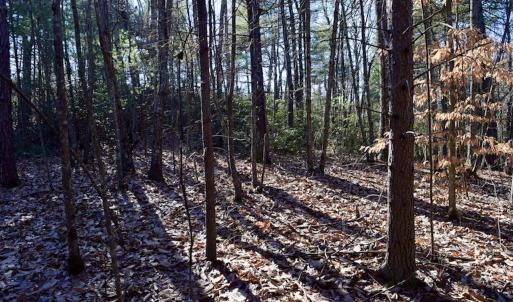 Photo #21 of SOLD property in 3340 Virgil Goode Highway, Rocky Mount, VA 17.3 acres
