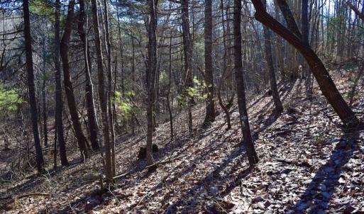 Photo #22 of SOLD property in 3340 Virgil Goode Highway, Rocky Mount, VA 17.3 acres