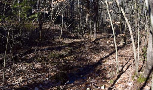 Photo #23 of SOLD property in 3340 Virgil Goode Highway, Rocky Mount, VA 17.3 acres