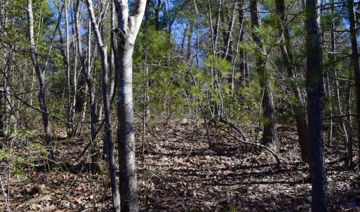 Photo #25 of SOLD property in 3340 Virgil Goode Highway, Rocky Mount, VA 17.3 acres