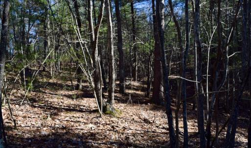 Photo #26 of SOLD property in 3340 Virgil Goode Highway, Rocky Mount, VA 17.3 acres