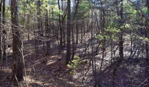 Photo #27 of SOLD property in 3340 Virgil Goode Highway, Rocky Mount, VA 17.3 acres