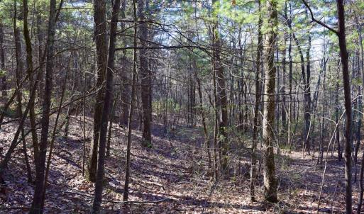 Photo #28 of SOLD property in 3340 Virgil Goode Highway, Rocky Mount, VA 17.3 acres