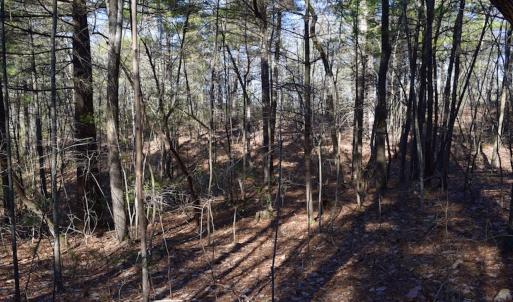 Photo #29 of SOLD property in 3340 Virgil Goode Highway, Rocky Mount, VA 17.3 acres