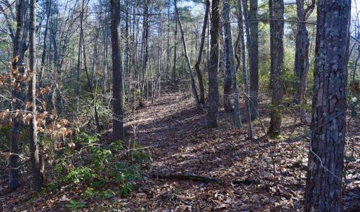 Photo #30 of SOLD property in 3340 Virgil Goode Highway, Rocky Mount, VA 17.3 acres