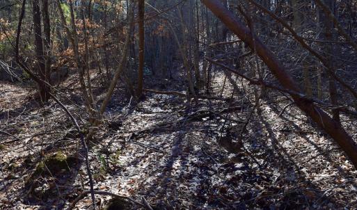 Photo #31 of SOLD property in 3340 Virgil Goode Highway, Rocky Mount, VA 17.3 acres
