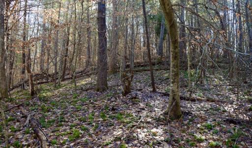 Photo #33 of SOLD property in 3340 Virgil Goode Highway, Rocky Mount, VA 17.3 acres