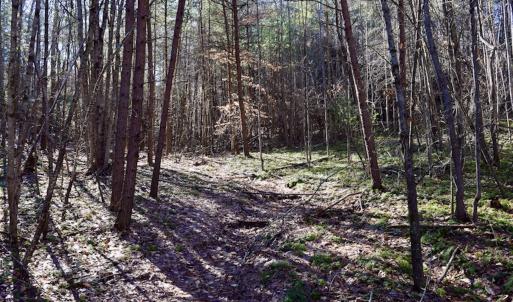 Photo #34 of SOLD property in 3340 Virgil Goode Highway, Rocky Mount, VA 17.3 acres