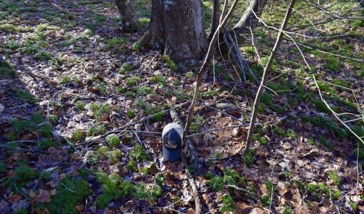 Photo #37 of SOLD property in 3340 Virgil Goode Highway, Rocky Mount, VA 17.3 acres
