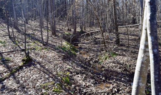 Photo #39 of SOLD property in 3340 Virgil Goode Highway, Rocky Mount, VA 17.3 acres