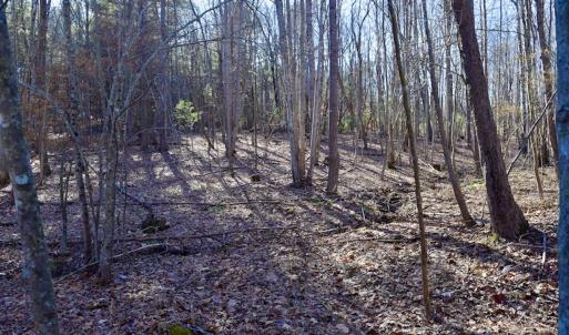 Photo #40 of SOLD property in 3340 Virgil Goode Highway, Rocky Mount, VA 17.3 acres