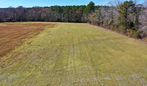 Photo #3 of Off Lee Farm Road, Arapahoe, NC 8.0 acres
