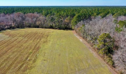 Photo #4 of Off Lee Farm Road, Arapahoe, NC 8.0 acres