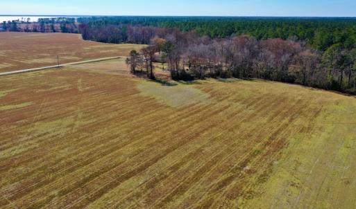 Photo #5 of Off Lee Farm Road, Arapahoe, NC 8.0 acres