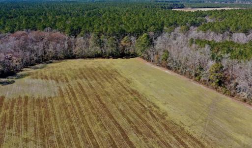 Photo #6 of Off Lee Farm Road, Arapahoe, NC 8.0 acres