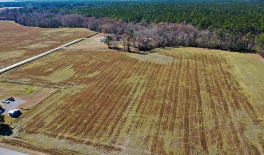 Photo #8 of Off Lee Farm Road, Arapahoe, NC 8.0 acres