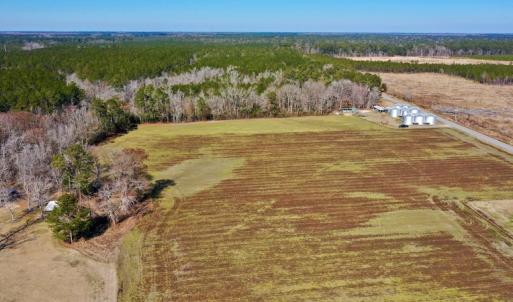 Photo #16 of Off Lee Farm Road, Arapahoe, NC 8.0 acres