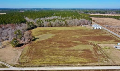 Photo #17 of Off Lee Farm Road, Arapahoe, NC 8.0 acres