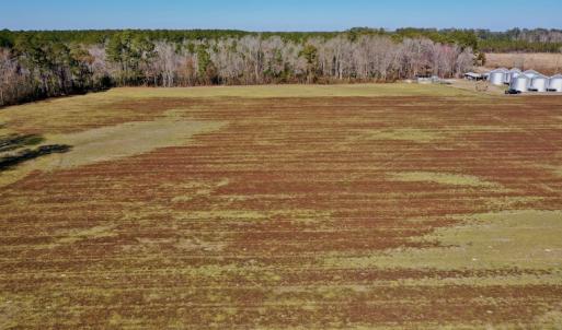 Photo #18 of Off Lee Farm Road, Arapahoe, NC 8.0 acres