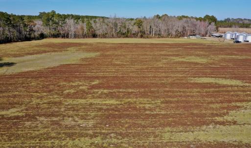 Photo #19 of Off Lee Farm Road, Arapahoe, NC 8.0 acres