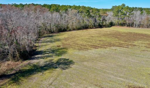 Photo #20 of Off Lee Farm Road, Arapahoe, NC 8.0 acres