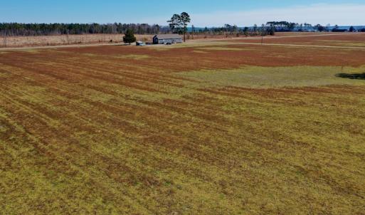 Photo #22 of Off Lee Farm Road, Arapahoe, NC 8.0 acres