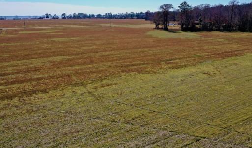 Photo #24 of Off Lee Farm Road, Arapahoe, NC 8.0 acres