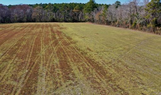 Photo #25 of Off Lee Farm Road, Arapahoe, NC 8.0 acres