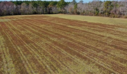 Photo #26 of Off Lee Farm Road, Arapahoe, NC 8.0 acres