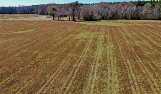 Photo #27 of Off Lee Farm Road, Arapahoe, NC 8.0 acres