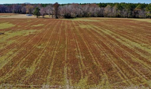 Photo #28 of Off Lee Farm Road, Arapahoe, NC 8.0 acres