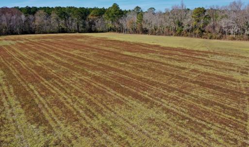 Photo #29 of Off Lee Farm Road, Arapahoe, NC 8.0 acres