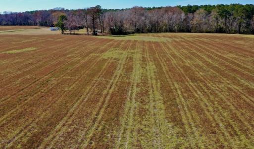 Photo #30 of Off Lee Farm Road, Arapahoe, NC 8.0 acres