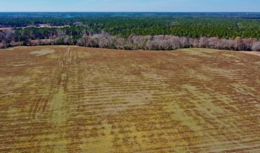 Photo #6 of Off Lee Farm Road, Oriental, NC 74.5 acres